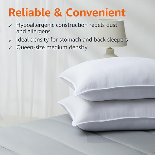 Amazon Basics Pillows 2-Pack