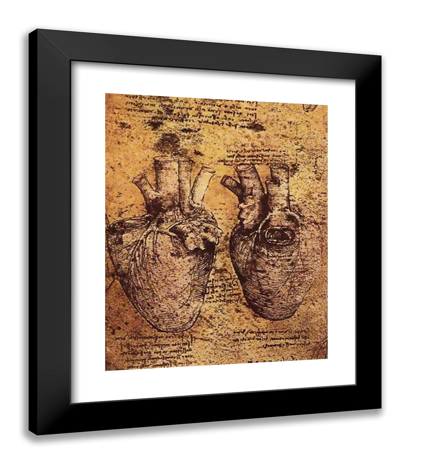 ArtDirect Da Vinci Heart Drawing Framed Art 20"x23"