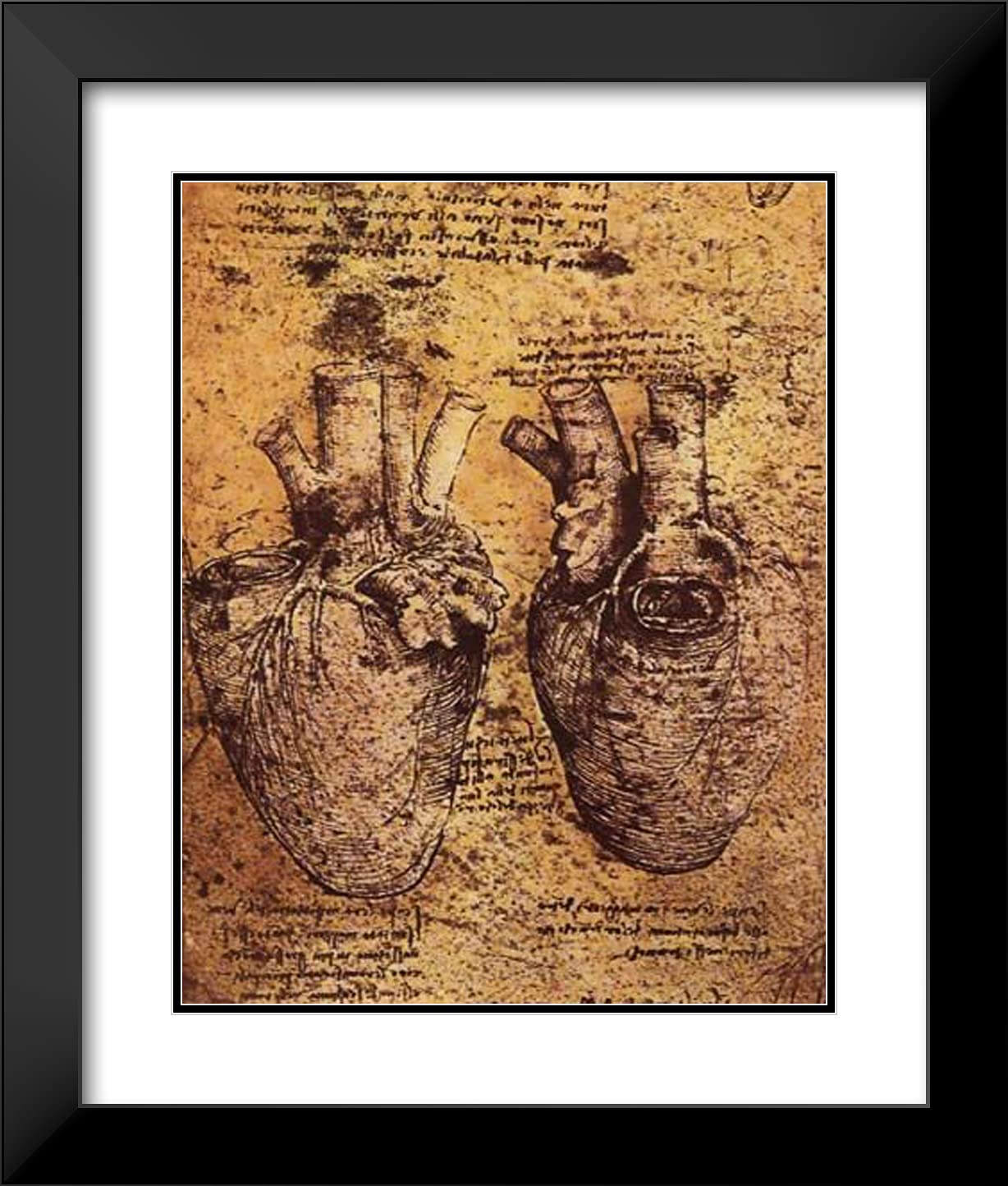 ArtDirect Da Vinci Heart Drawing Framed Art 20"x23"