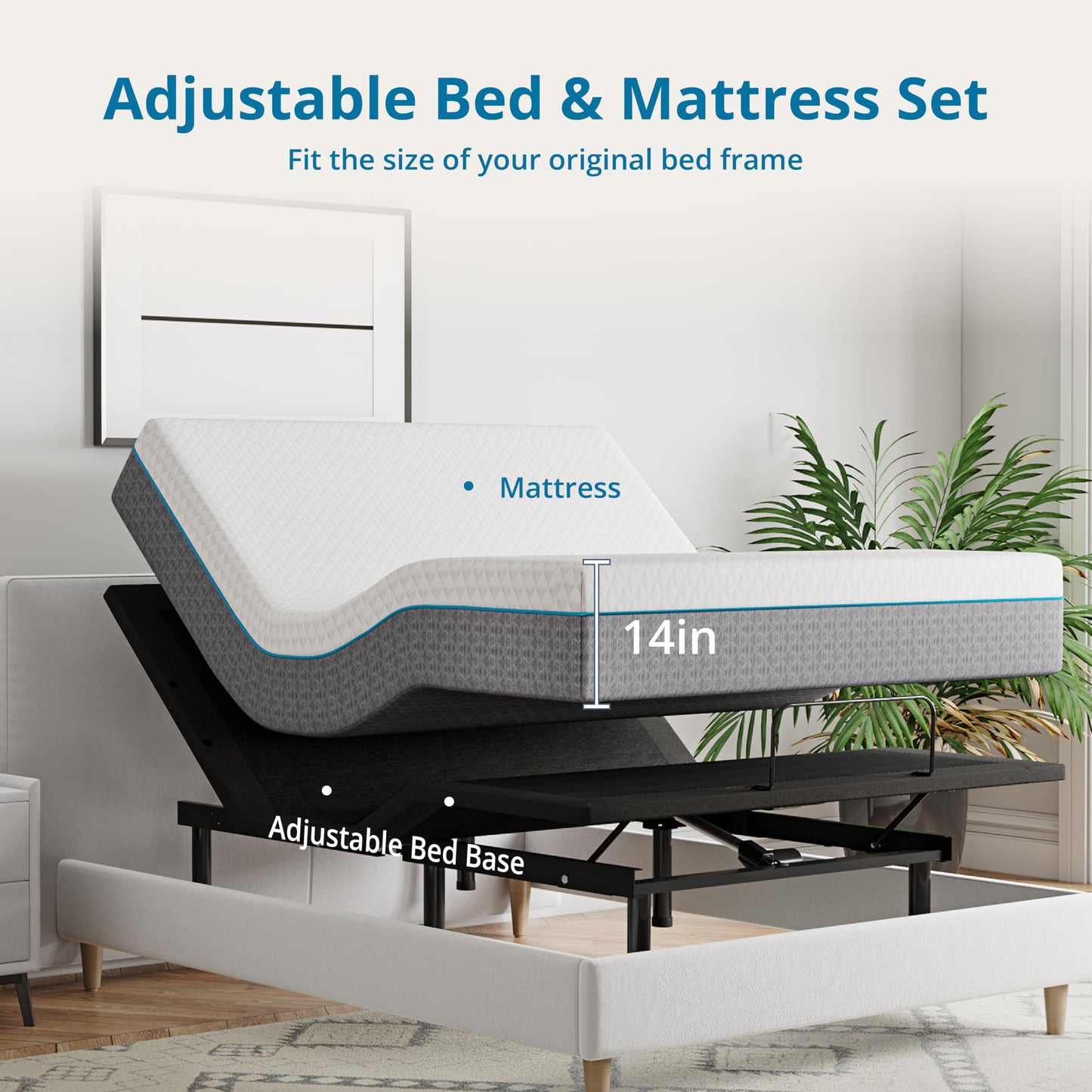 Split King Adjustable Bed with Mattress