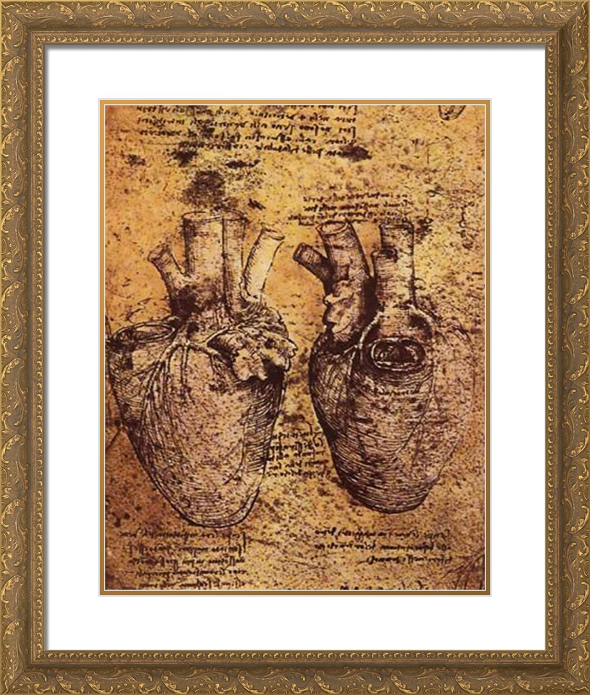 ArtDirect Da Vinci Heart Drawing Framed Art 20"x23"