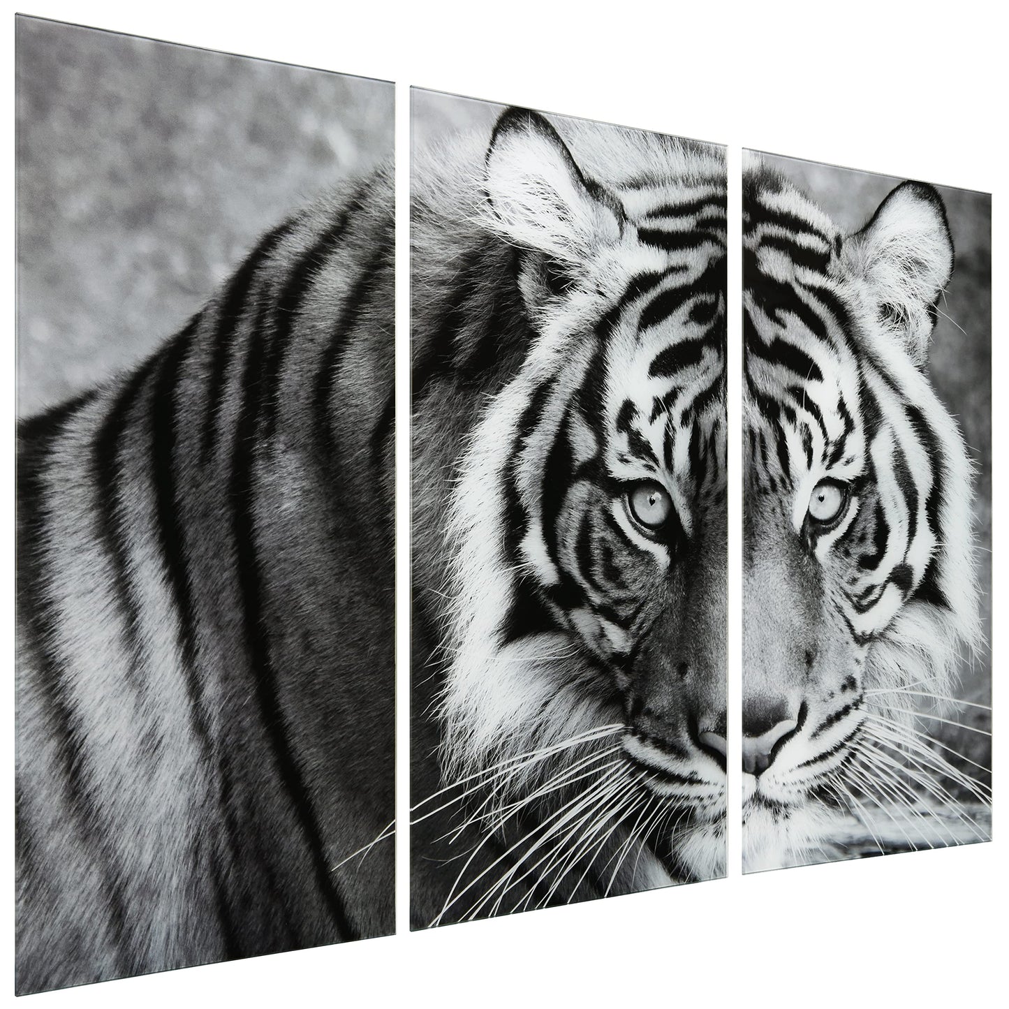 King of the Jungle Glass Wall Art