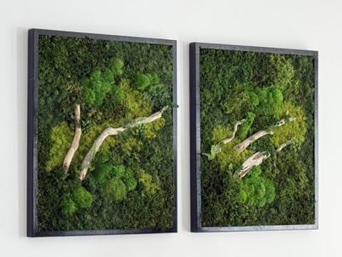 Unique Moss Wall Art 48"x24"