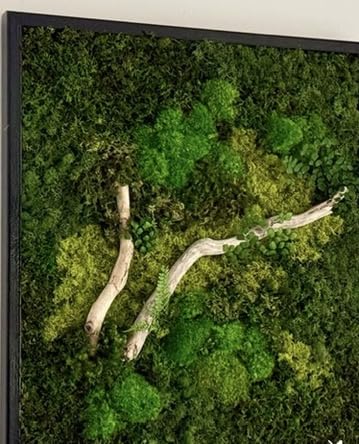 Unique Moss Wall Art 48"x24"
