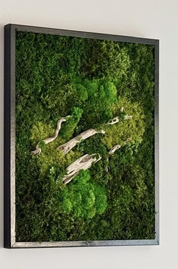 Unique Moss Wall Art 48"x24"