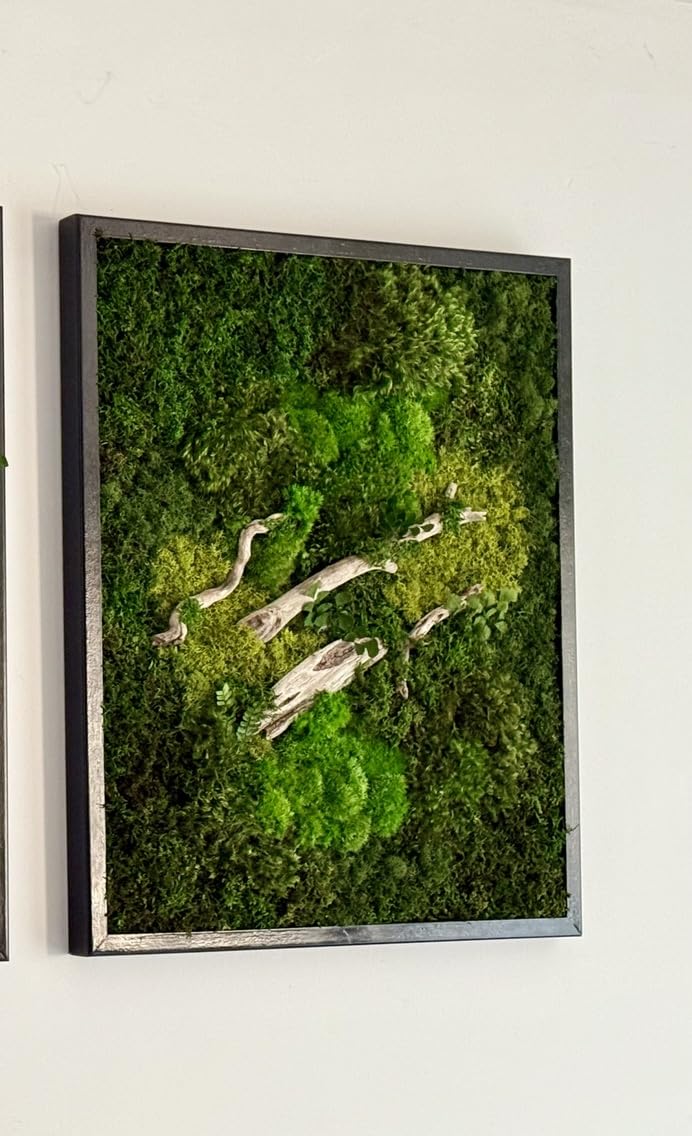 Unique Moss Wall Art 48"x24"