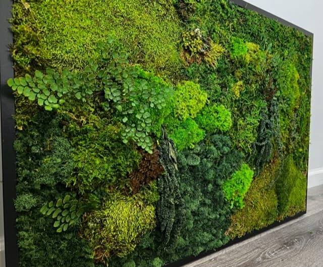 Unique Moss Wall Art 48"x24"