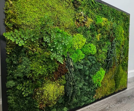 Unique Moss Wall Art 48"x24"
