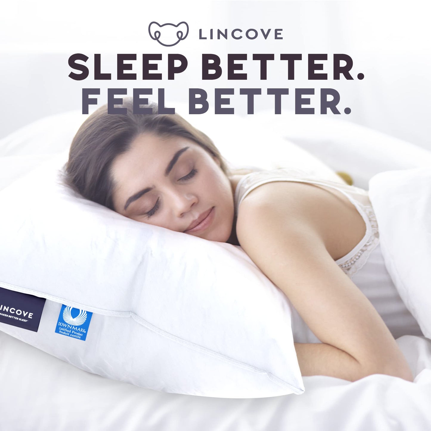 Lincove Down Pillows – Standard, 2 Pack