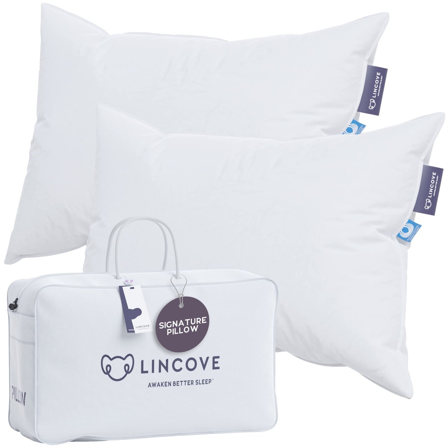 Lincove Down Pillows – Standard, 2 Pack