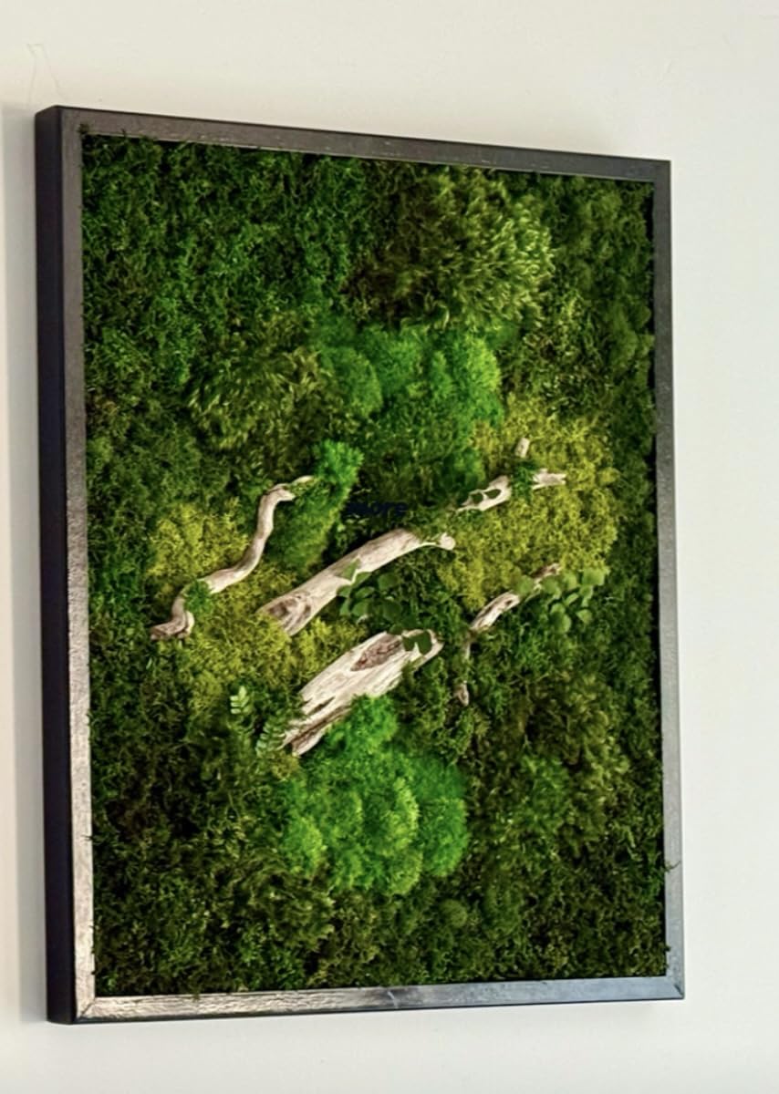 Unique Moss Wall Art 48"x24"
