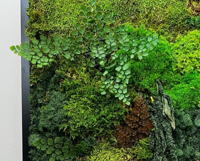 Unique Moss Wall Art 48"x24"