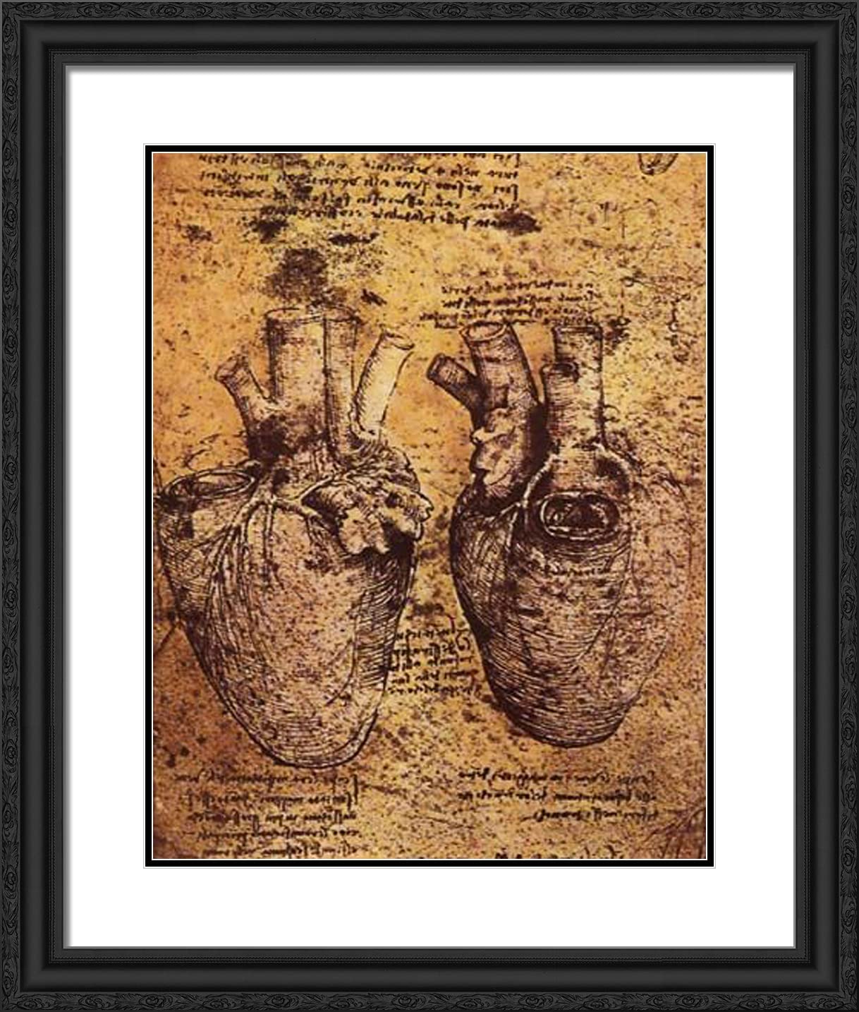 ArtDirect Da Vinci Heart Drawing Framed Art 20"x23"