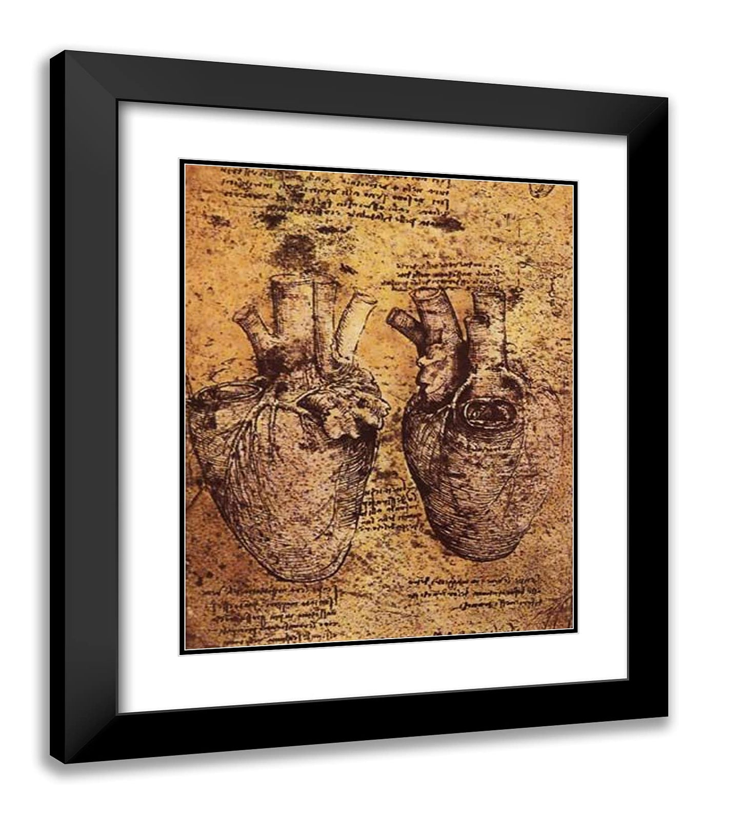 ArtDirect Da Vinci Heart Drawing Framed Art 20"x23"