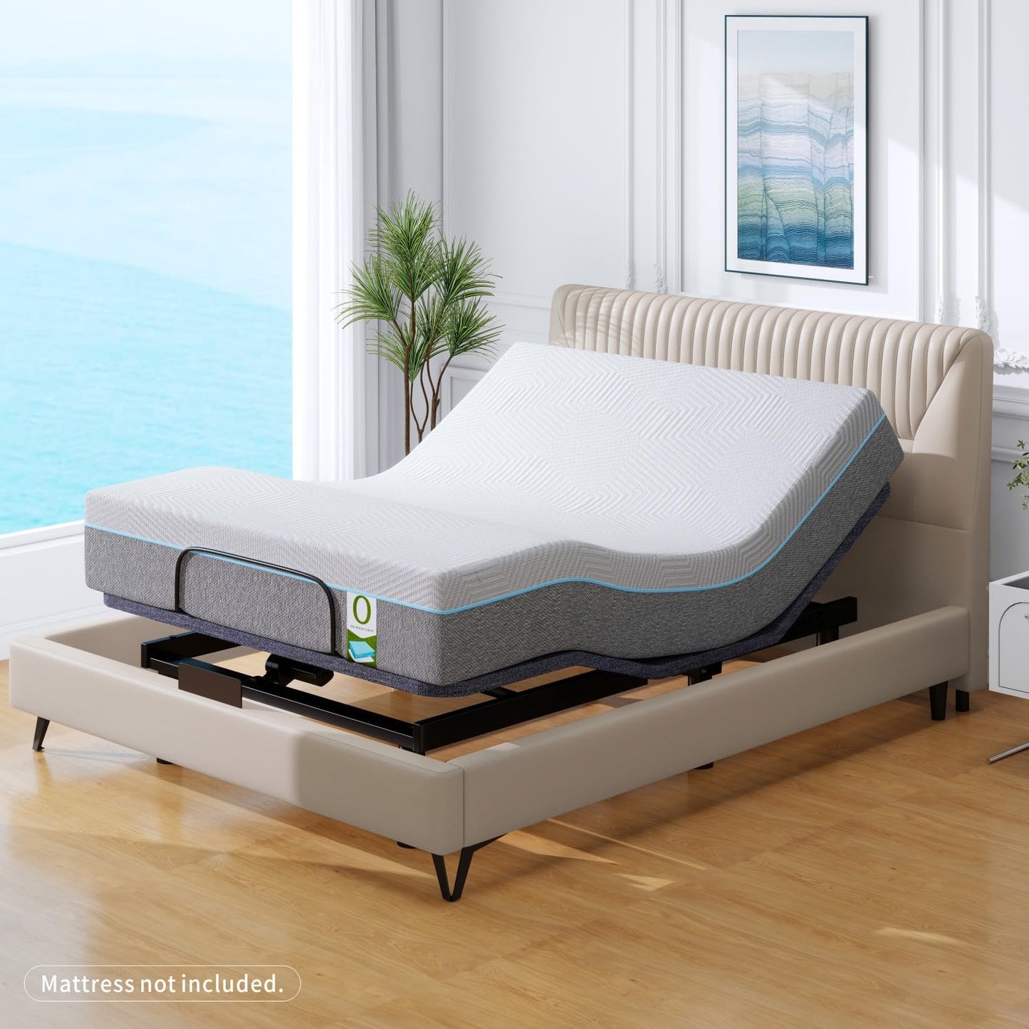 Vipbear Queen Adjustable Bed with 12" Mattress