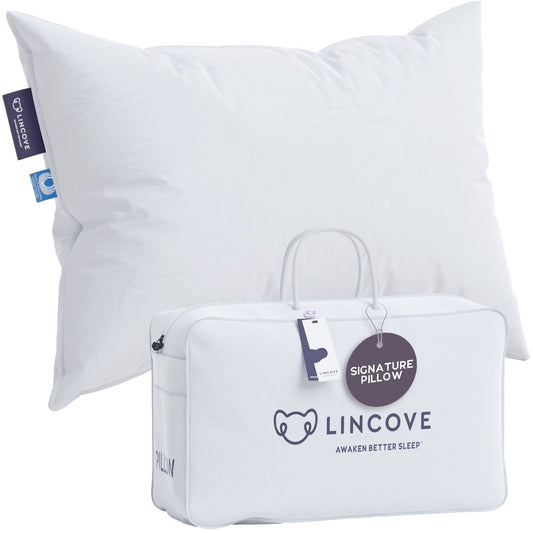 Lincove Down Pillows – Standard, 2 Pack