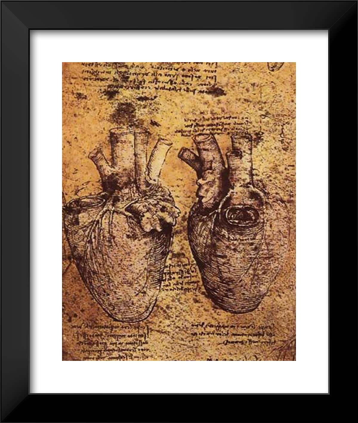 ArtDirect Da Vinci Heart Drawing Framed Art 20"x23"