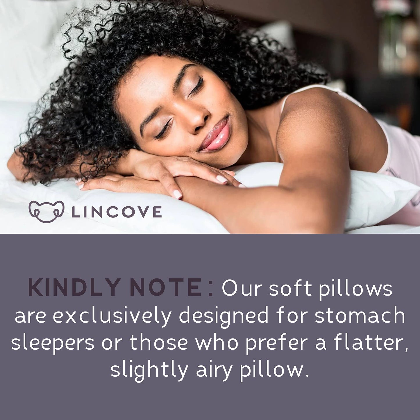 Lincove Down Pillows – Standard, 2 Pack