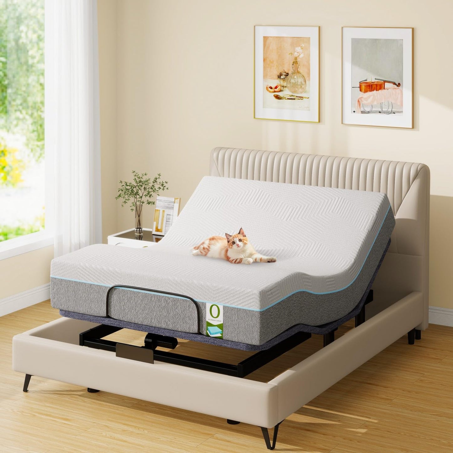 Vipbear Queen Adjustable Bed with 12" Mattress