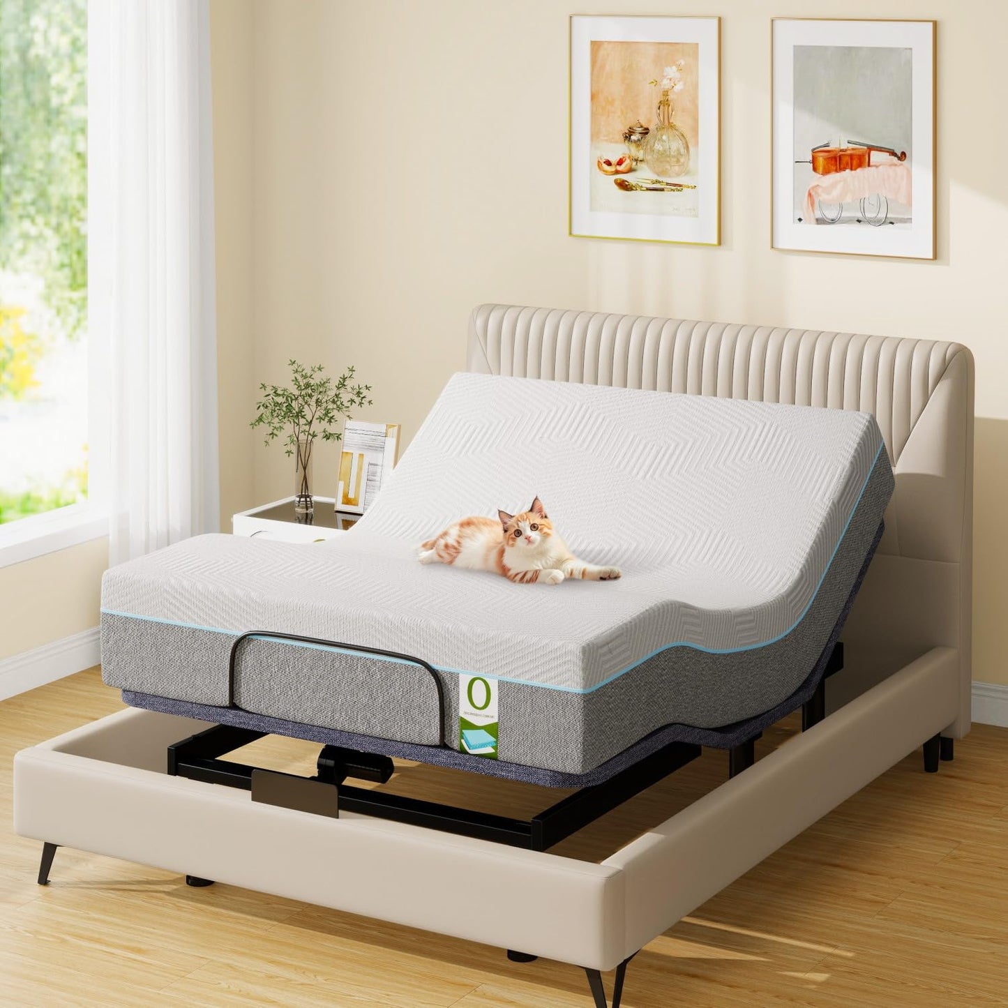 Vipbear Queen Adjustable Bed with 12" Mattress