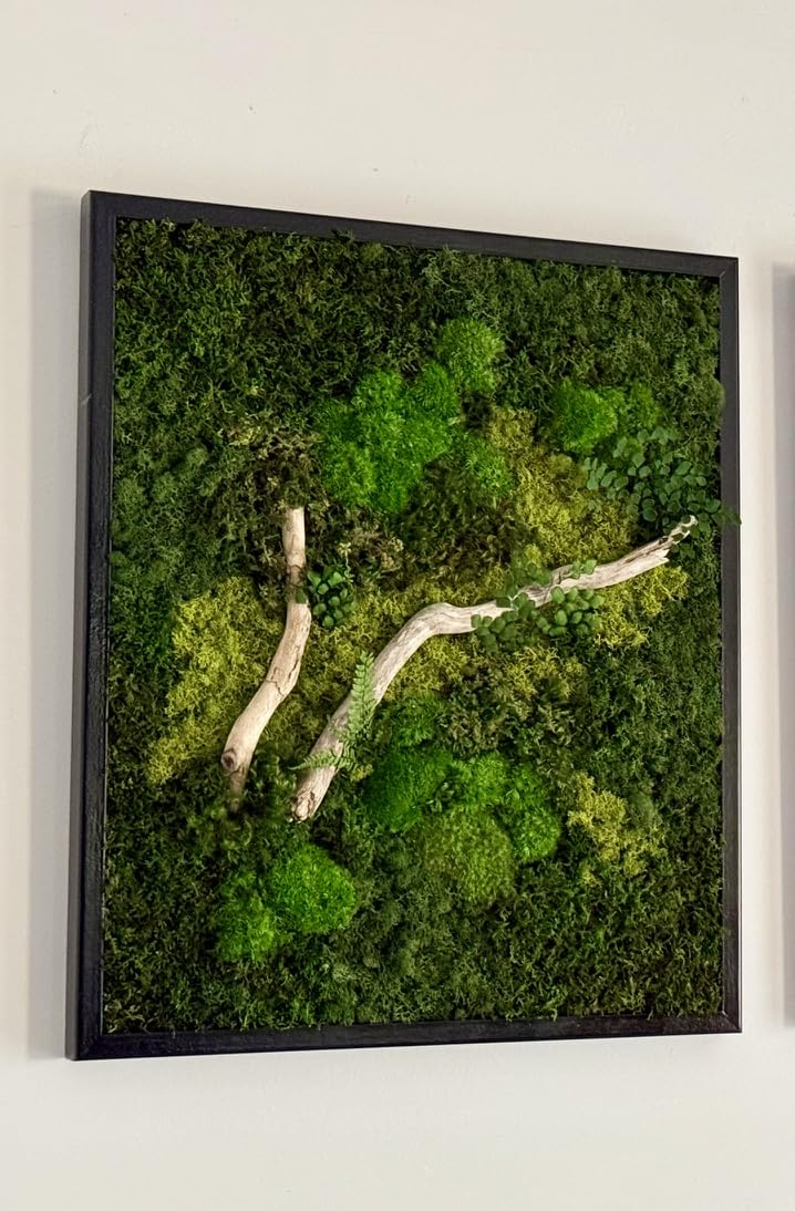 Unique Moss Wall Art 48"x24"