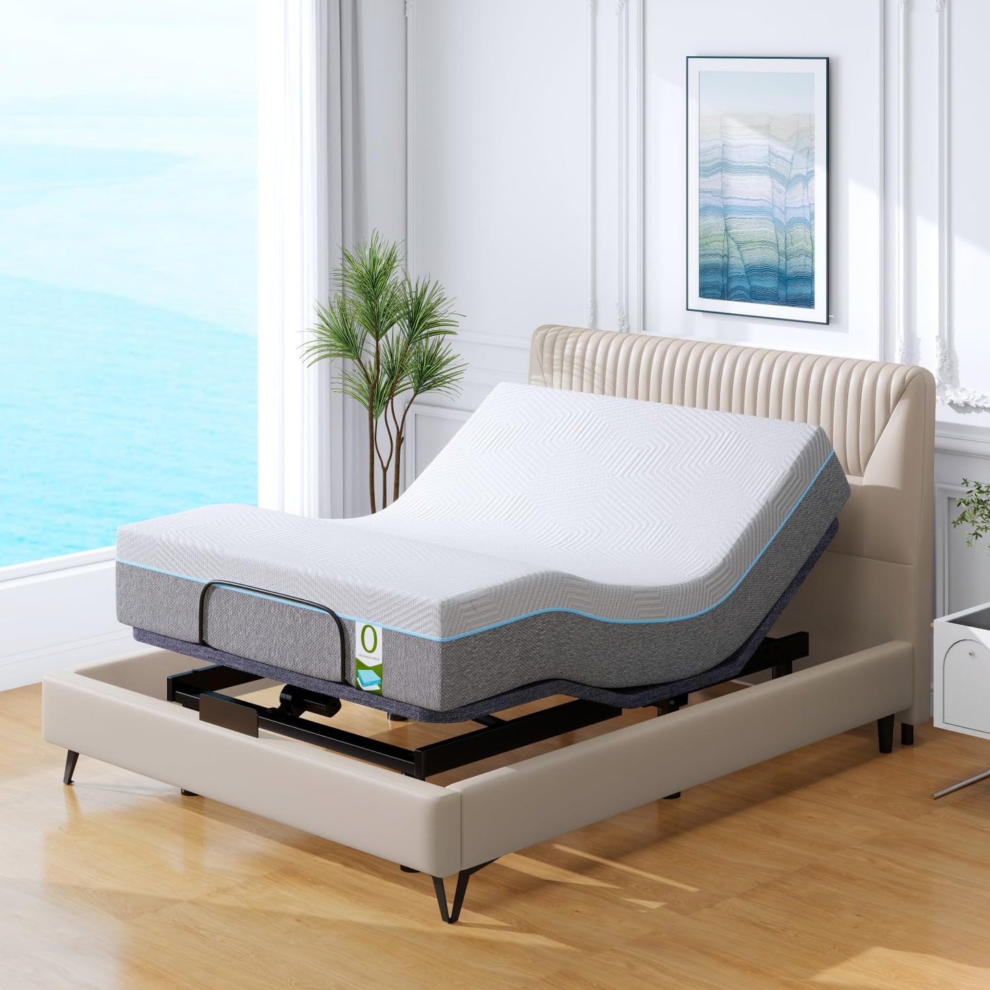Vipbear Queen Adjustable Bed with 12" Mattress