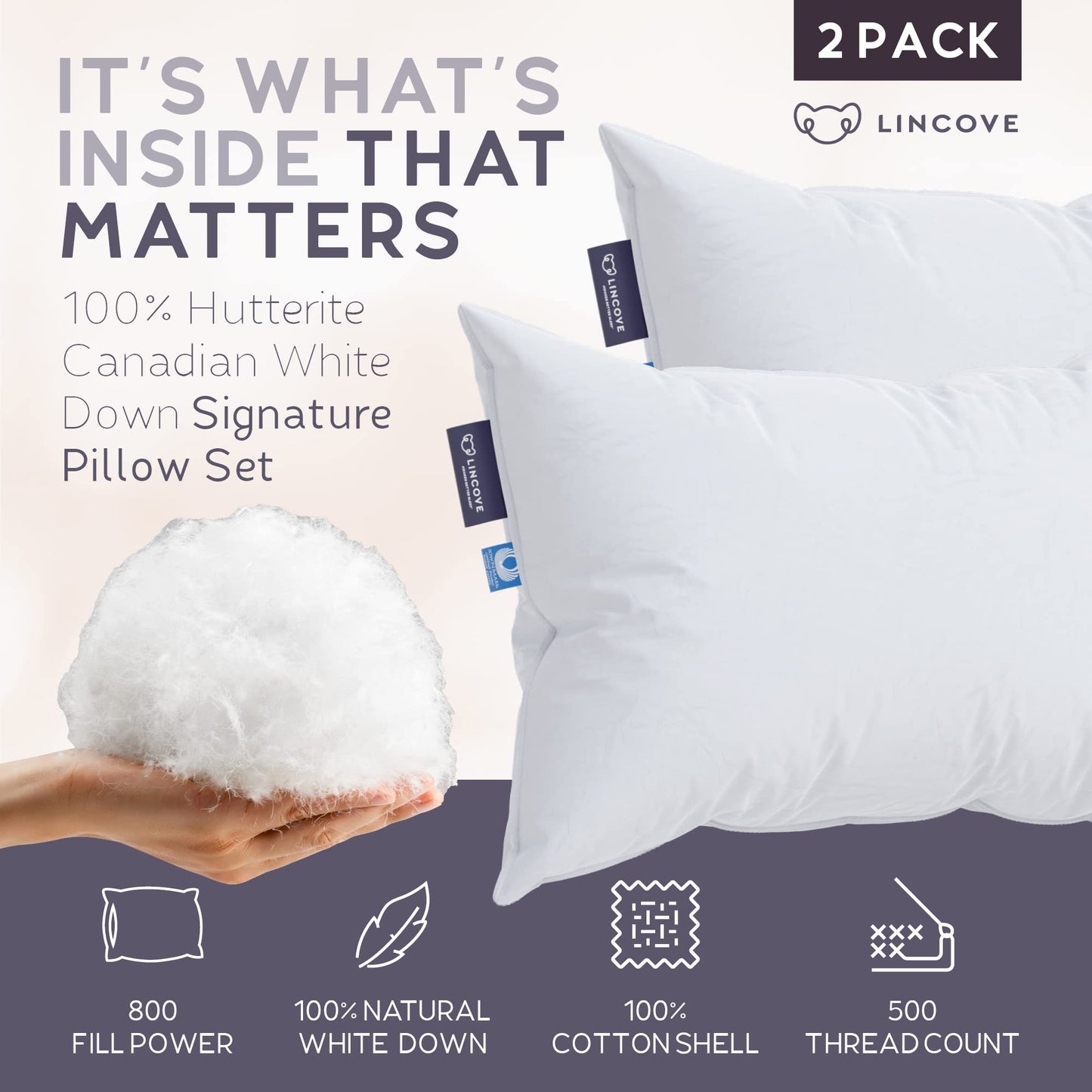 Lincove Down Pillows – Standard, 2 Pack