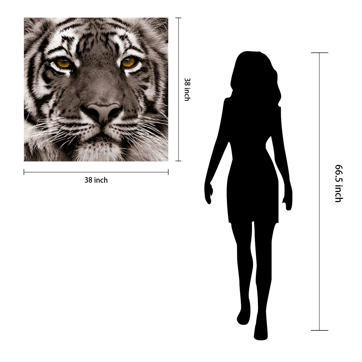 King of the Jungle Glass Wall Art