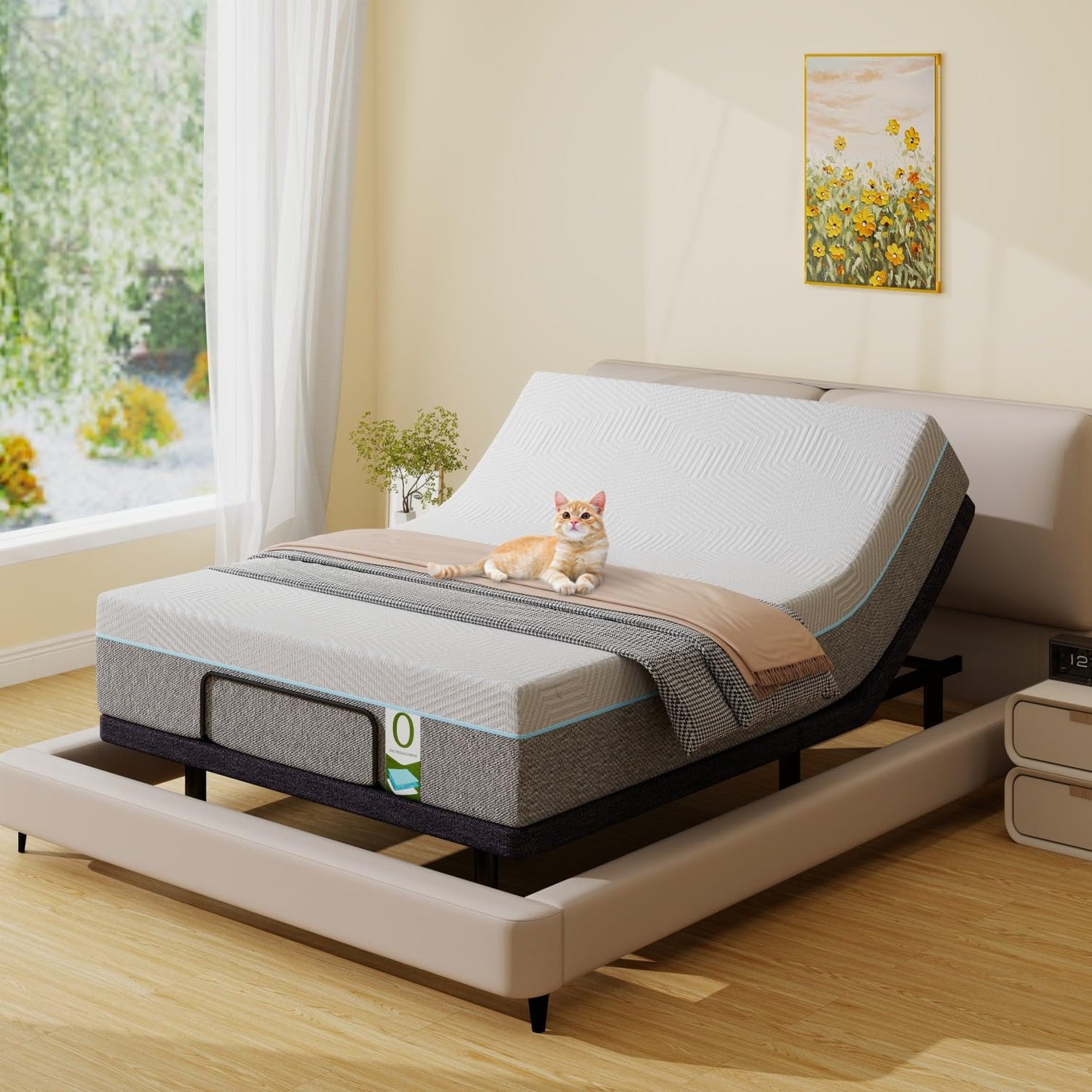 Vipbear Queen Adjustable Bed with 12" Mattress