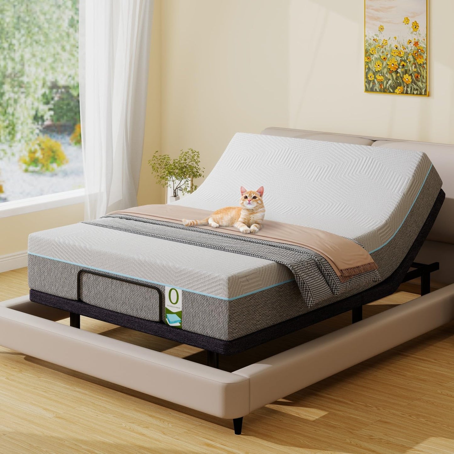 Vipbear Queen Adjustable Bed with 12" Mattress