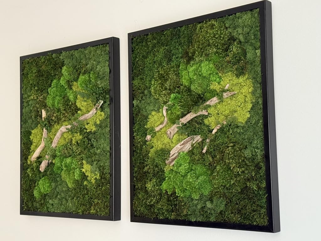 Unique Moss Wall Art 48"x24"