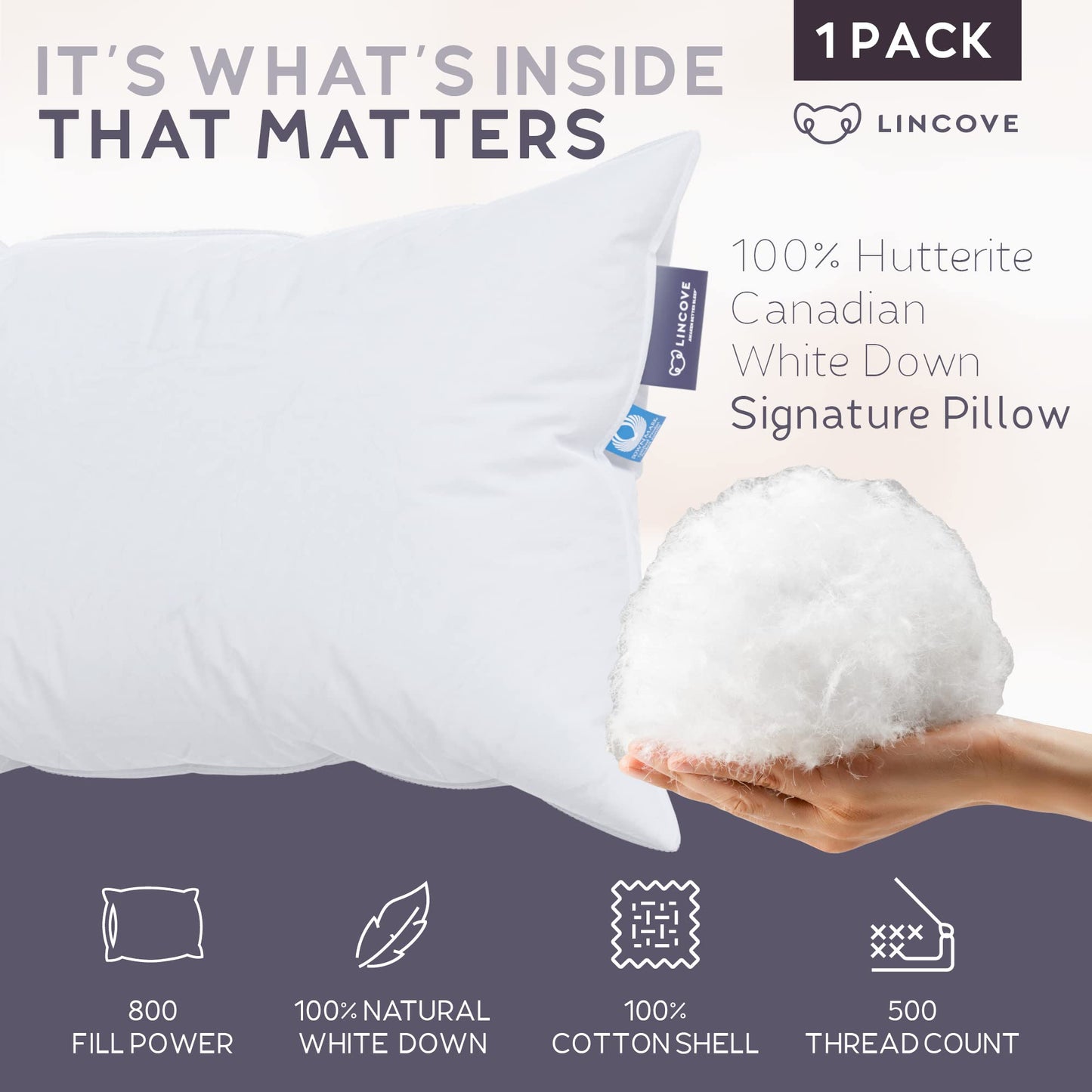 Lincove Down Pillows – Standard, 2 Pack