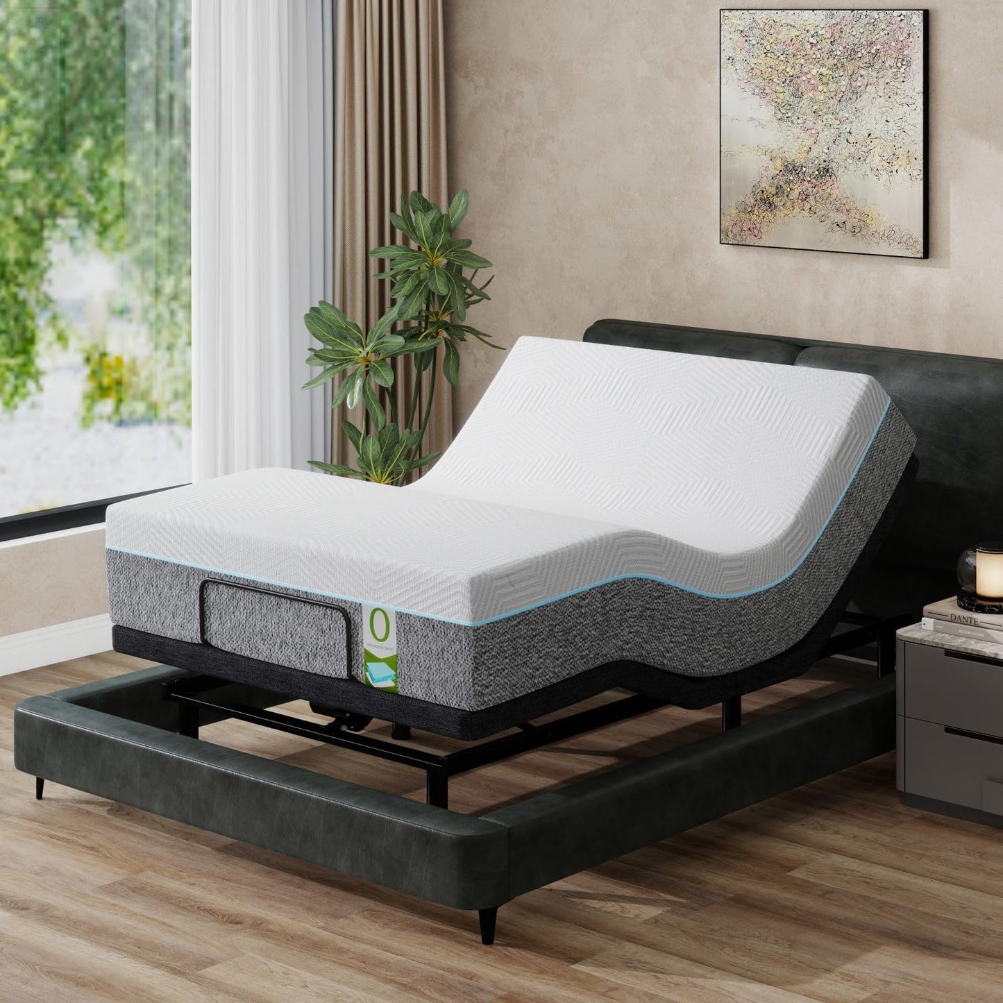 Vipbear Queen Adjustable Bed with 12" Mattress