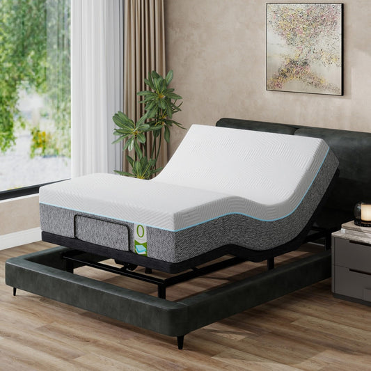 Vipbear Queen Adjustable Bed with 12" Mattress