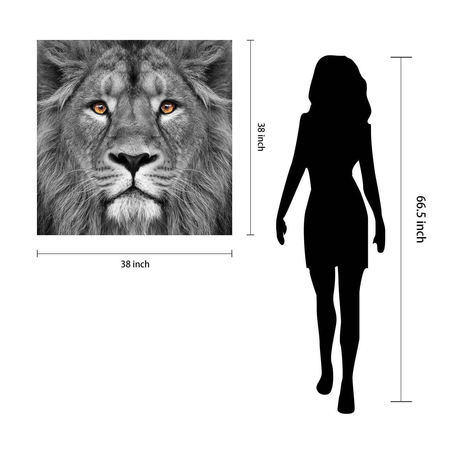 King of the Jungle Glass Wall Art
