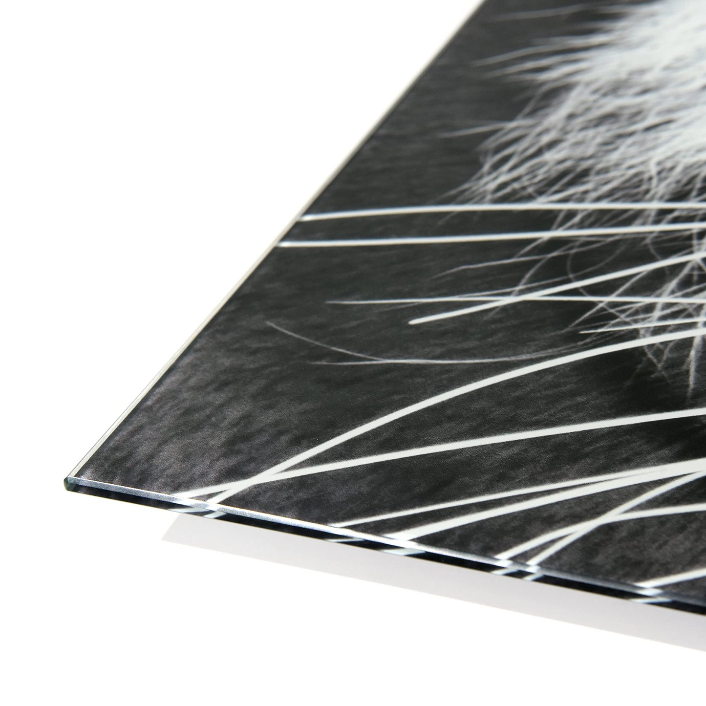 King of the Jungle Glass Wall Art