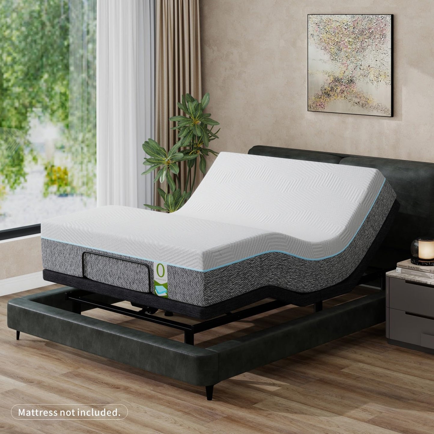 Vipbear Queen Adjustable Bed with 12" Mattress