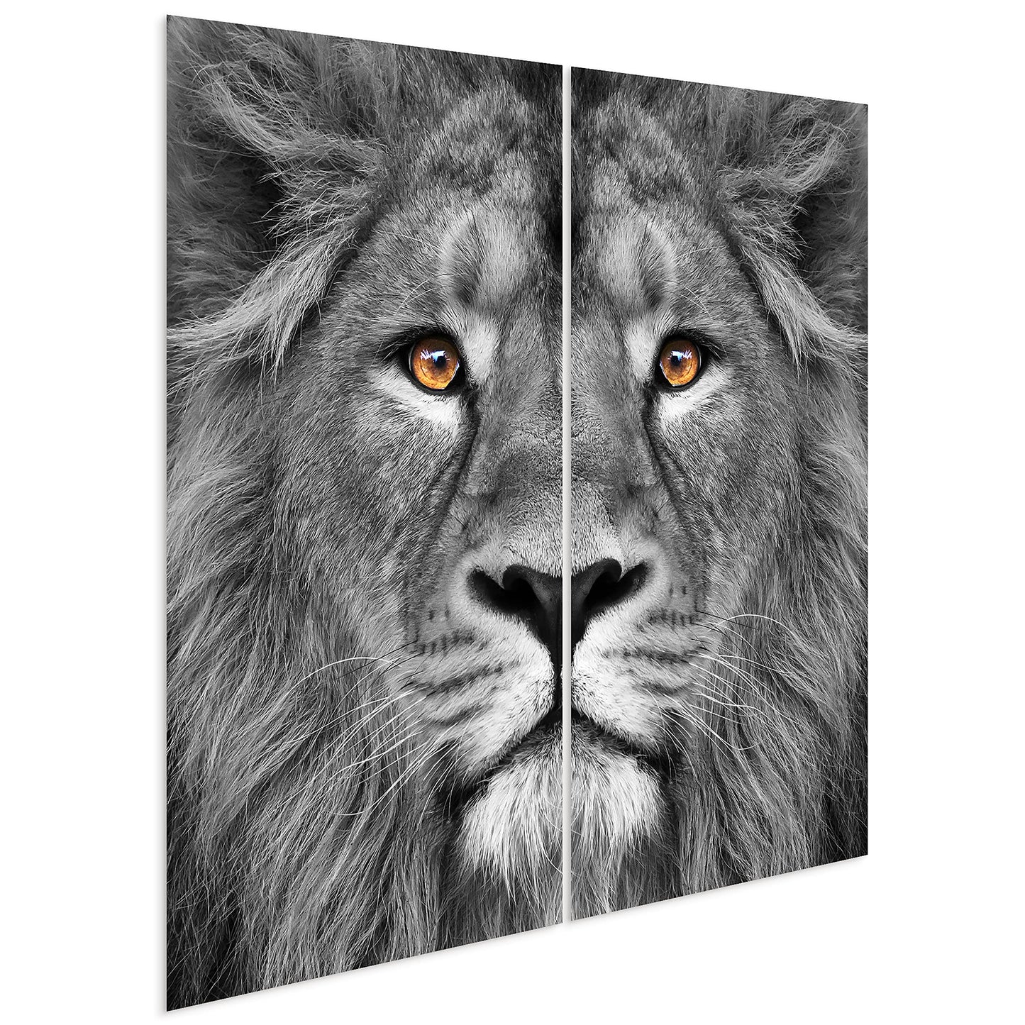 King of the Jungle Glass Wall Art