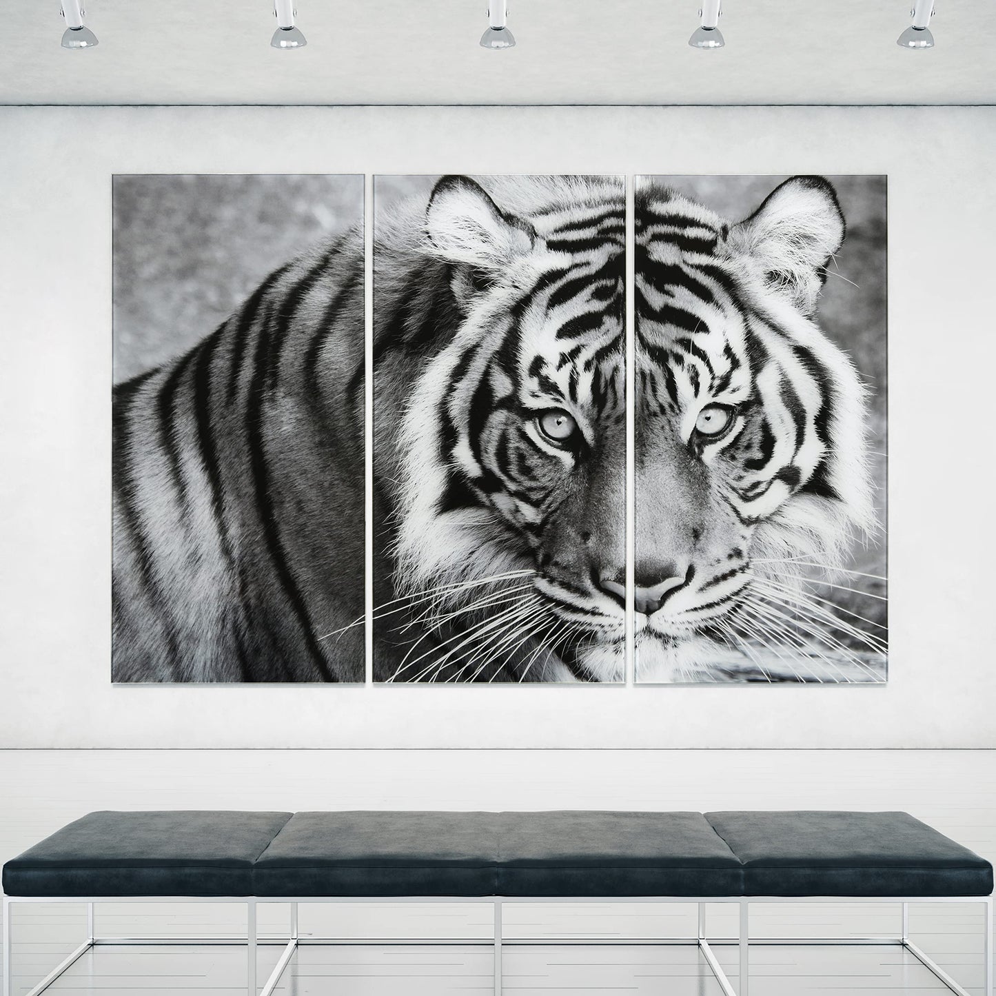 King of the Jungle Glass Wall Art