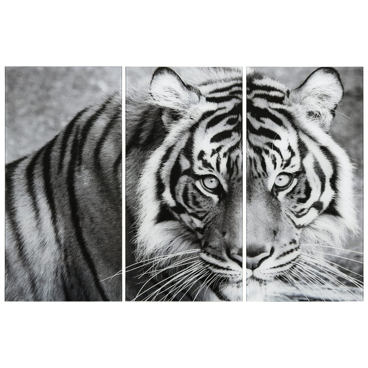 King of the Jungle Glass Wall Art