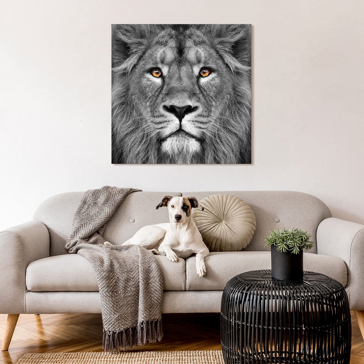 King of the Jungle Glass Wall Art