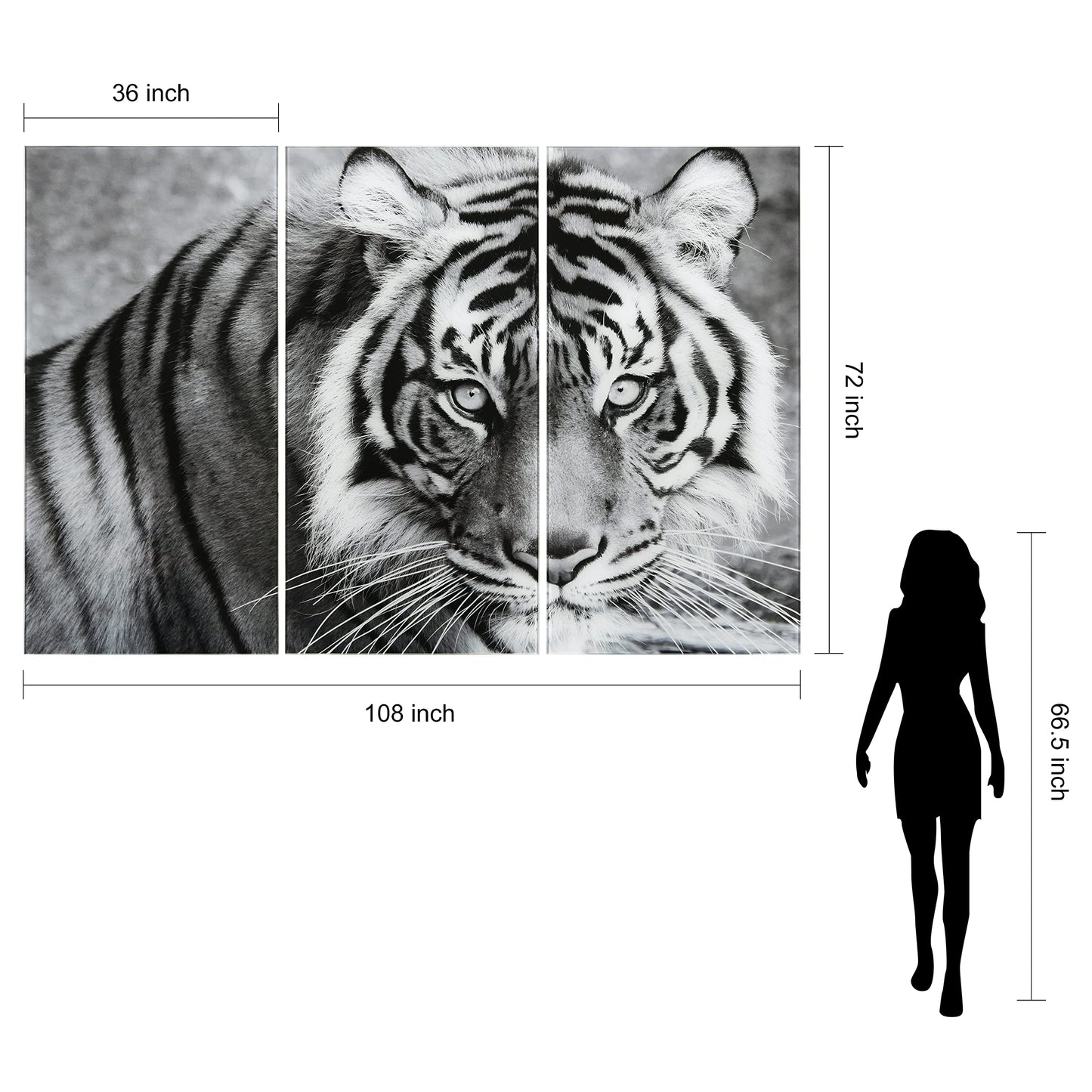 King of the Jungle Glass Wall Art