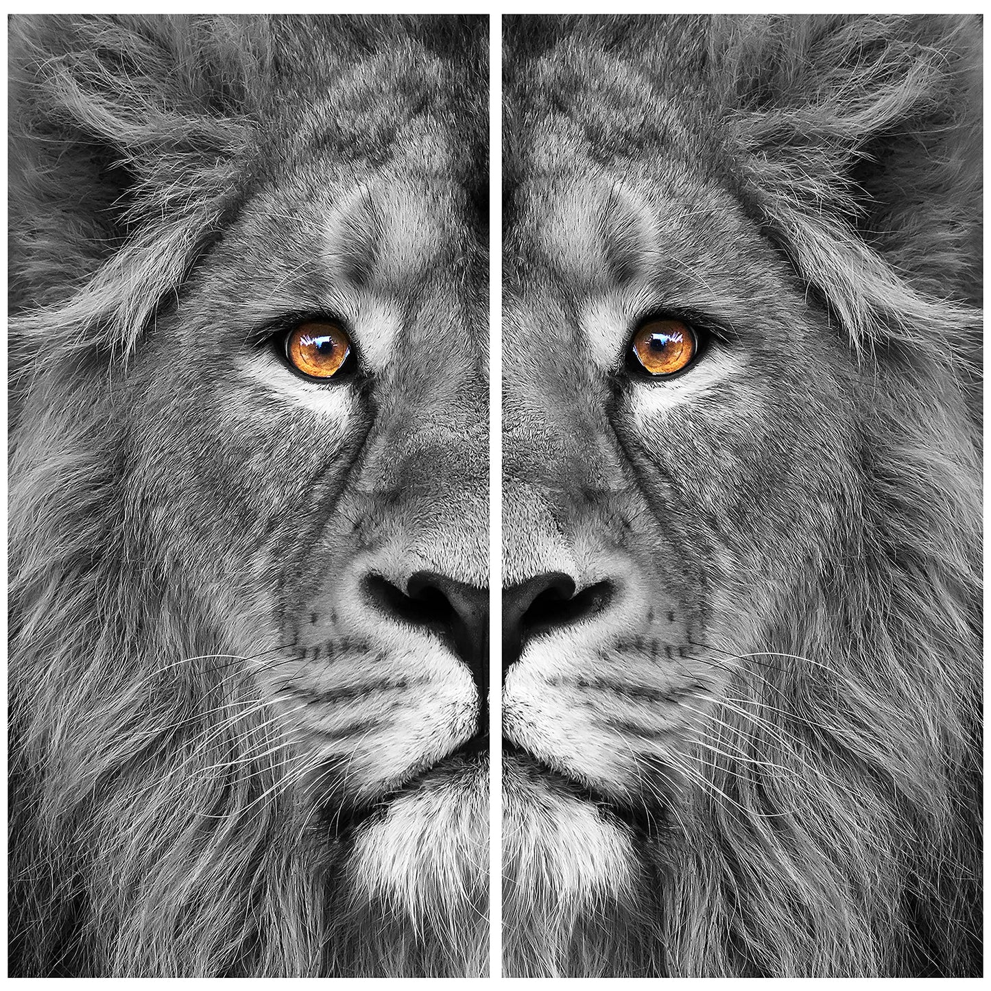 King of the Jungle Glass Wall Art